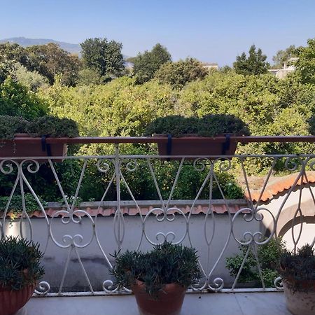 La Casa Di Rosa - Casa Vacanze Meta Buitenkant foto