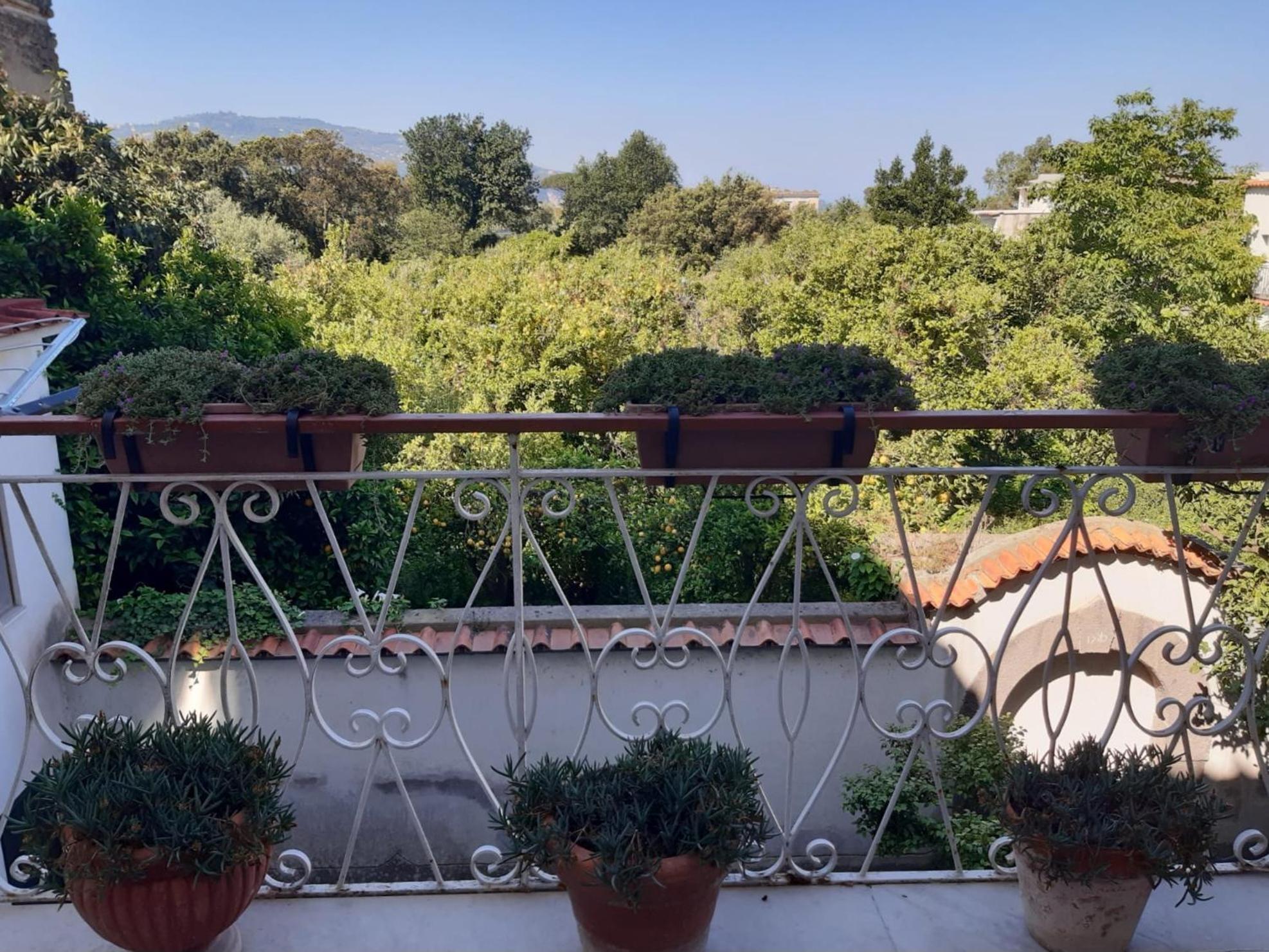 La Casa Di Rosa - Casa Vacanze Meta Buitenkant foto