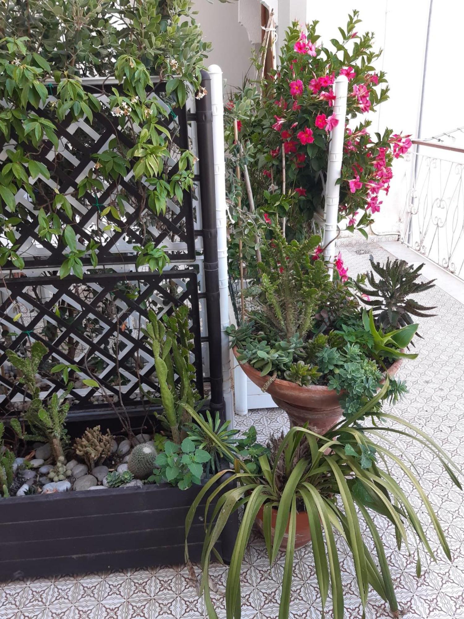 La Casa Di Rosa - Casa Vacanze Meta Buitenkant foto